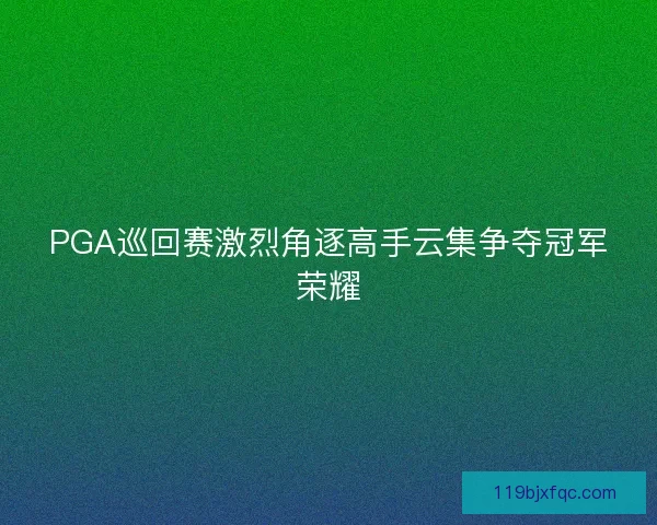 PGA巡回赛激烈角逐高手云集争夺冠军荣耀
